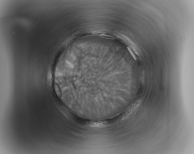 X0000100920405200807221120