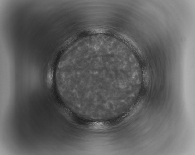 X0000100920406200807221120