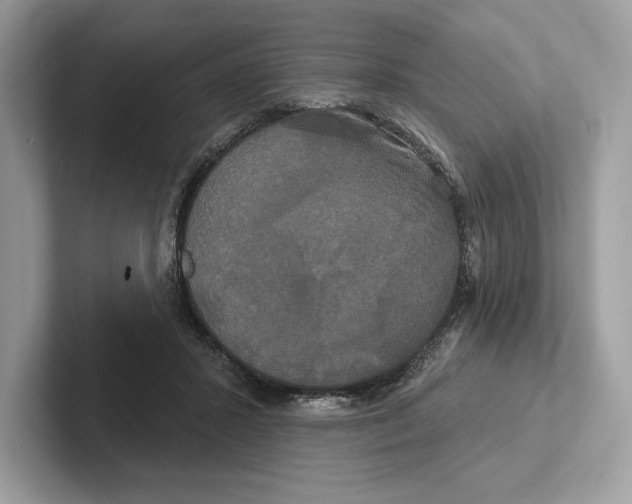 X0000100920407200807221120