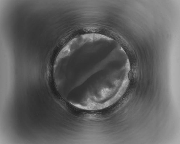 X0000100920408200807221120