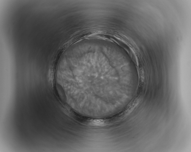 X0000100920409200807221120