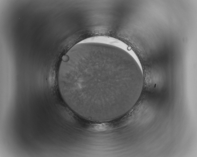 X0000100920411200807221120