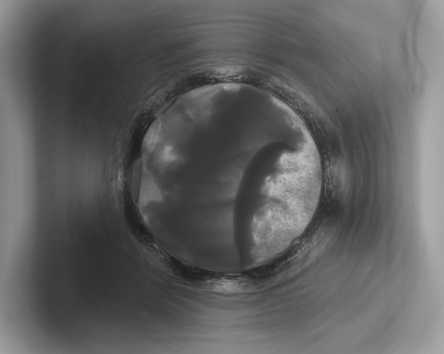 X0000100920412200807221120