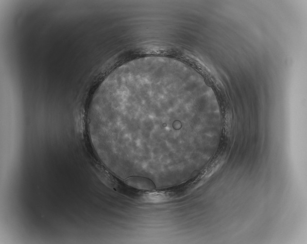 X0000100920413200807221120