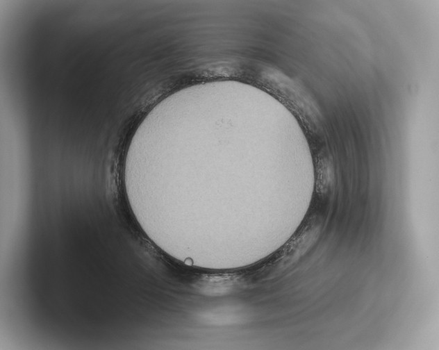 X0000100920414200807221120
