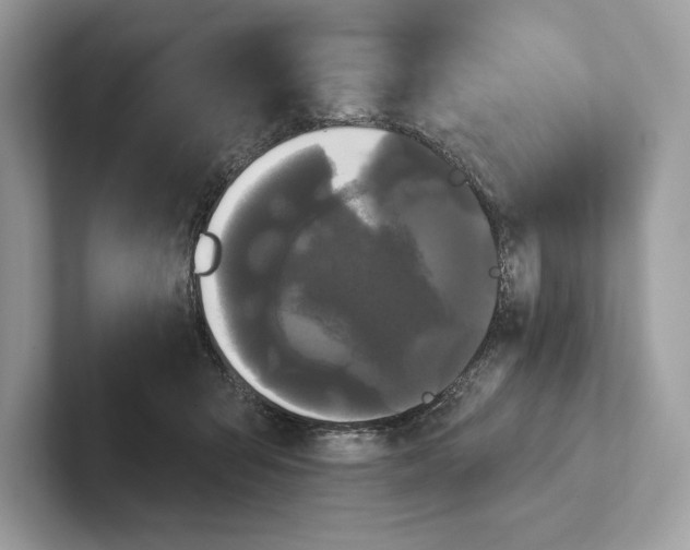 X0000100920415200807221120