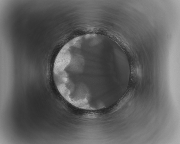 X0000100920416200807221120