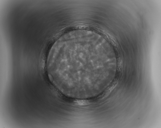 X0000100920417200807221120