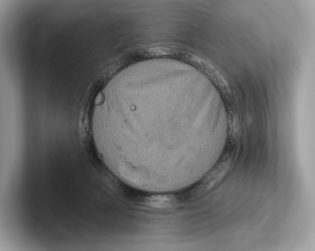 X0000100920418200807221120