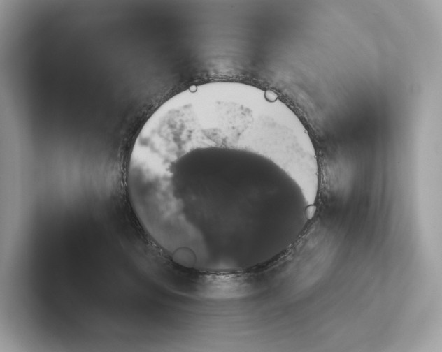 X0000100920419200807221120