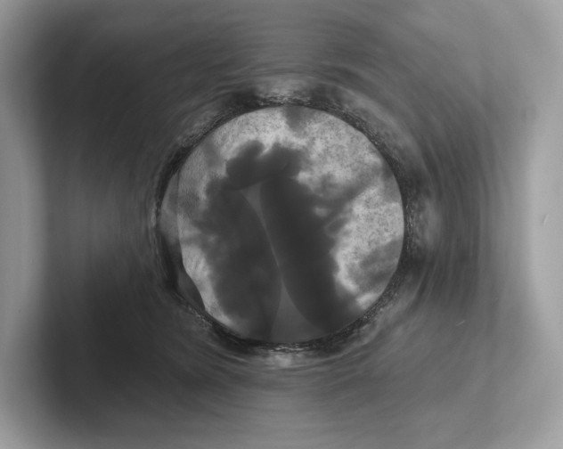 X0000100920420200807221120
