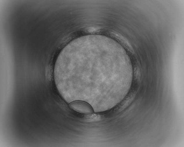 X0000100920421200807221120