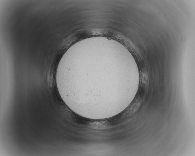 X0000100920422200807221120
