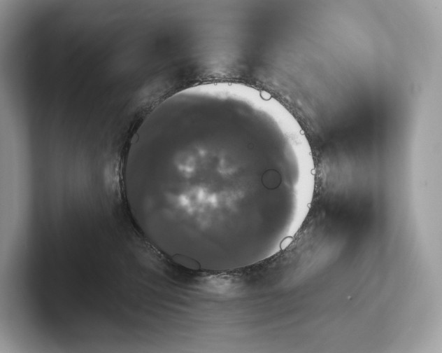 X0000100920423200807221120
