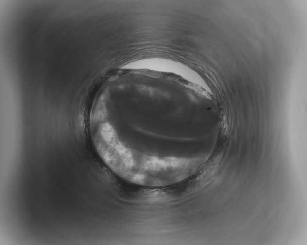 X0000100920424200807221120