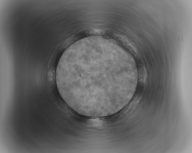X0000100920425200807221120