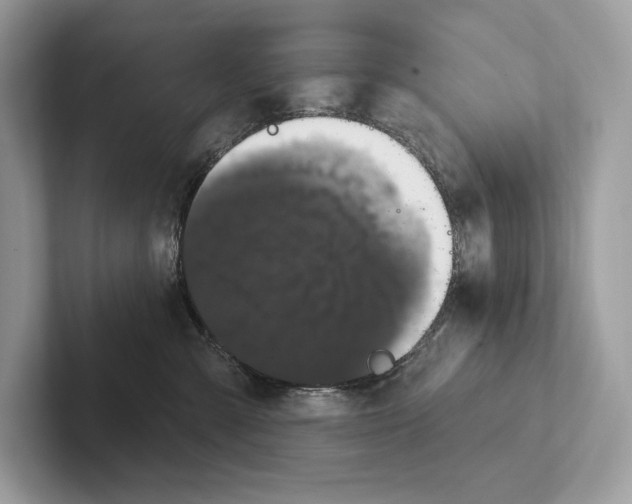 X0000100920427200807221120