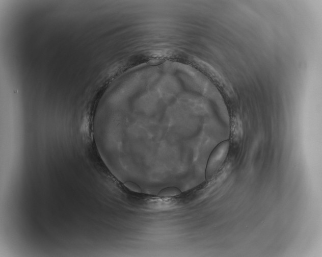 X0000100920428200807221120