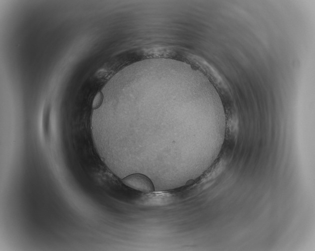 X0000100920429200807221120
