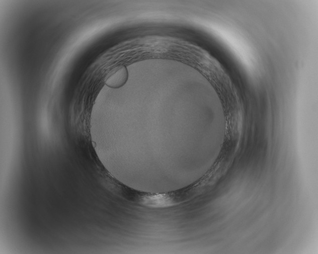 X0000100920431200807221120