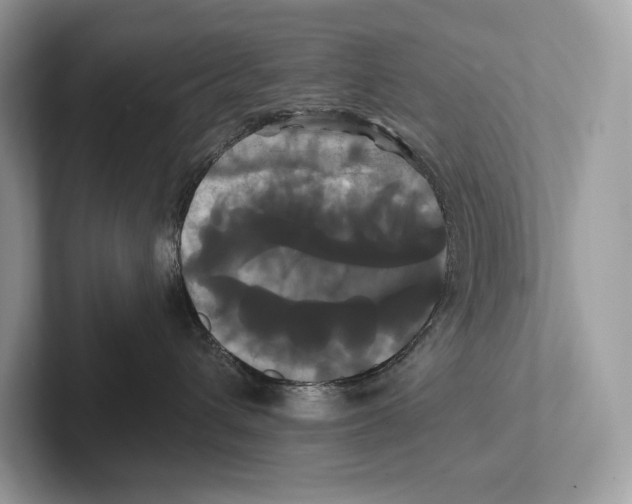 X0000100920432200807221120