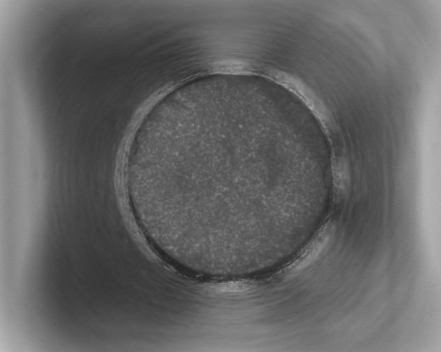 X0000100920433200807221119
