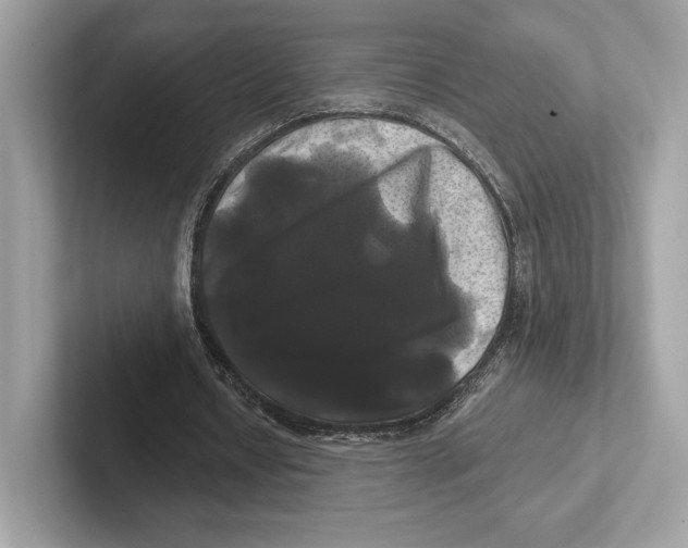 X0000100920434200807221119