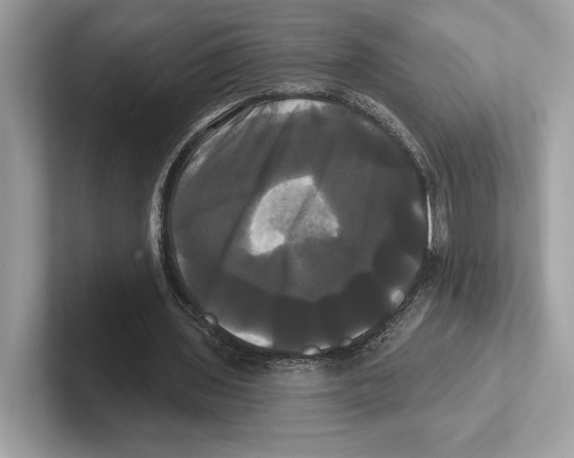 X0000100920435200807221119