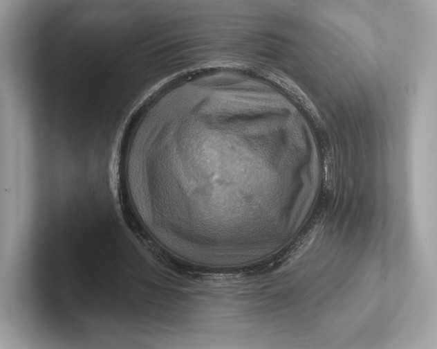 X0000100920436200807221119