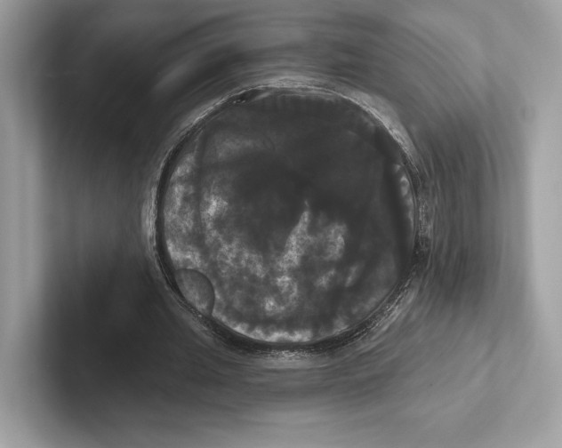 X0000100920437200807221119