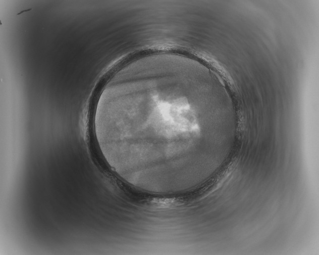 X0000100920440200807221119