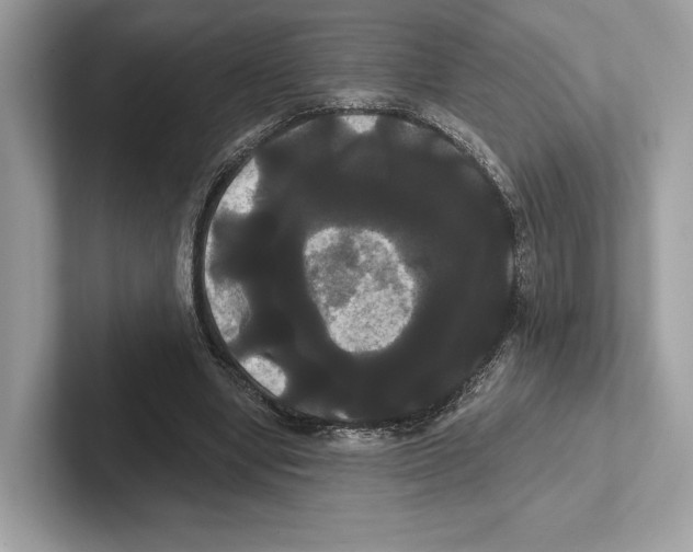 X0000100920442200807221119
