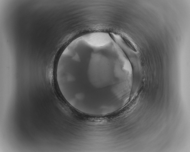 X0000100920443200807221119