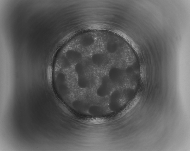 X0000100920445200807221119
