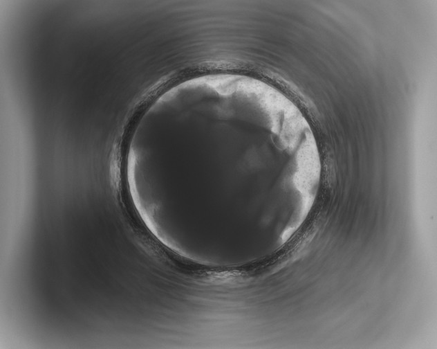 X0000100920446200807221119