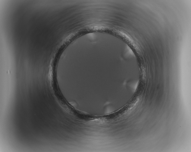 X0000100920447200807221119