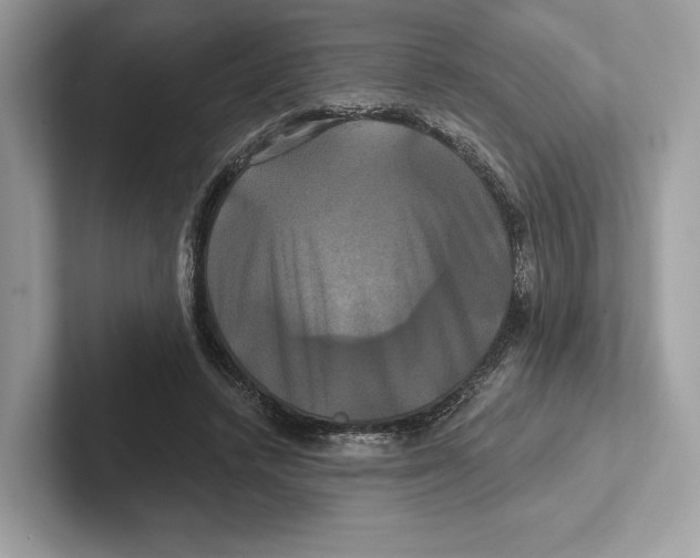 X0000100920448200807221119