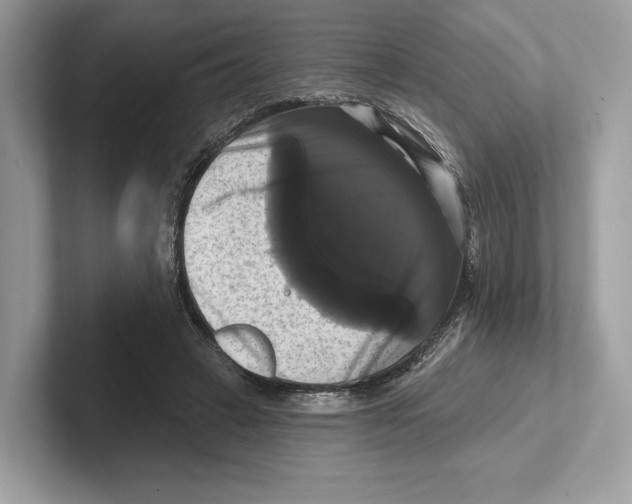 X0000100920449200807221119