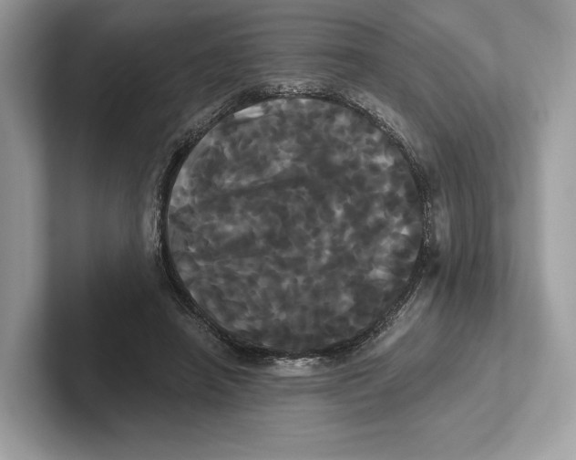 X0000100920450200807221119