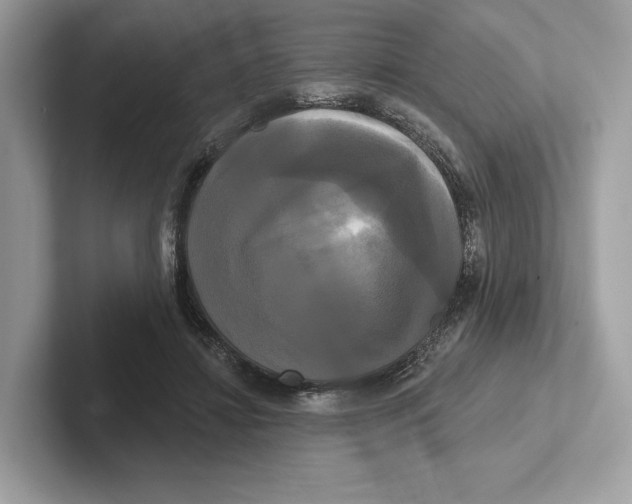 X0000100920452200807221119