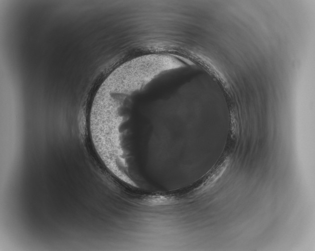 X0000100920453200807221119