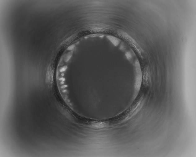 X0000100920454200807221119