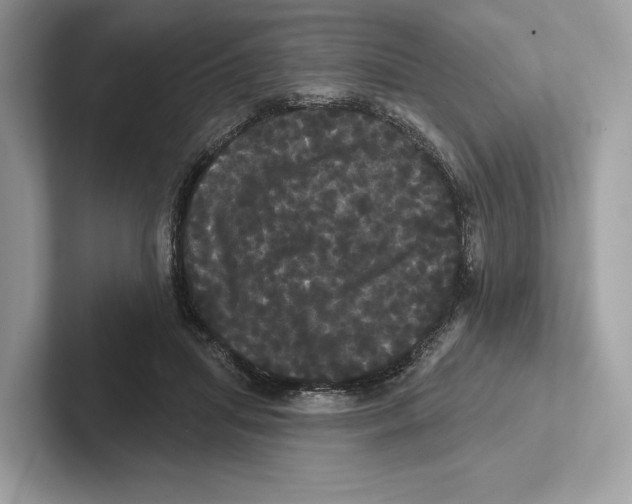 X0000100920455200807221119