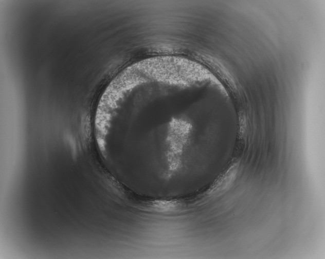 X0000100920457200807221119