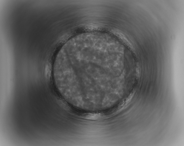 X0000100920458200807221119
