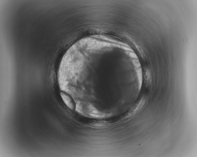 X0000100920459200807221119
