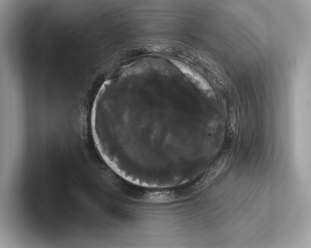X0000100920461200807221119