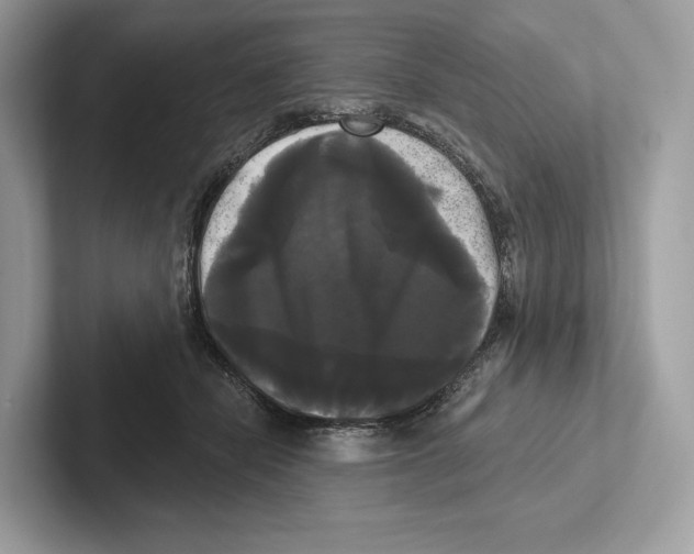 X0000100920462200807221119