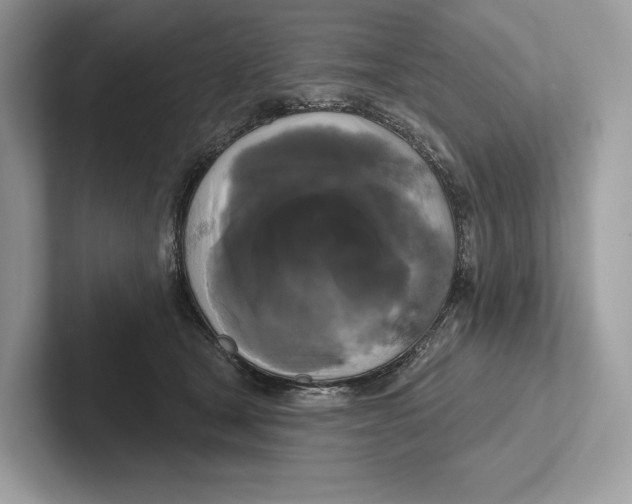 X0000100920465200807221119