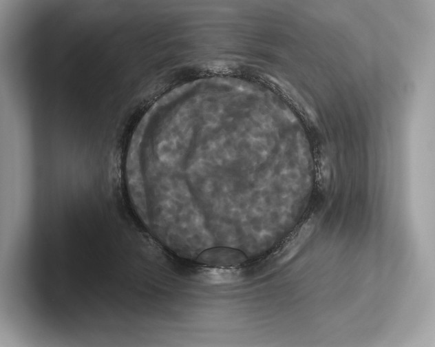X0000100920466200807221119
